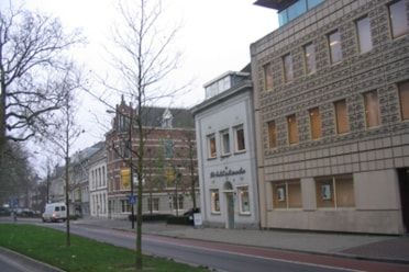 Johan de Wittstraat