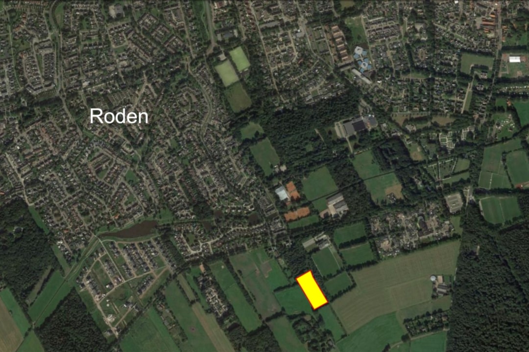 Image of Roden