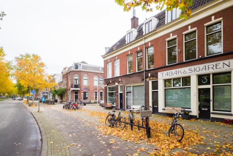 Woning / appartement - Utrecht - Blauwkapelseweg 3 & 3A