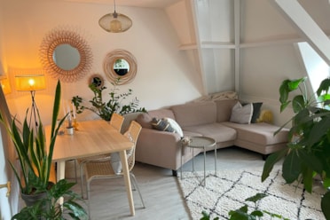 Woning / appartement - Haarlem - Leidsevaart 332