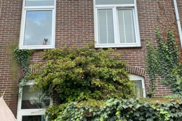 Woning / appartement - Haarlem - Klarenbeekstraat 39 ZW