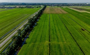 Assendelft, Balgoy, Deurne & Dongen image