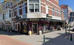 Den Haag, Laan van Nieuw-Oost-Indië 36 A image